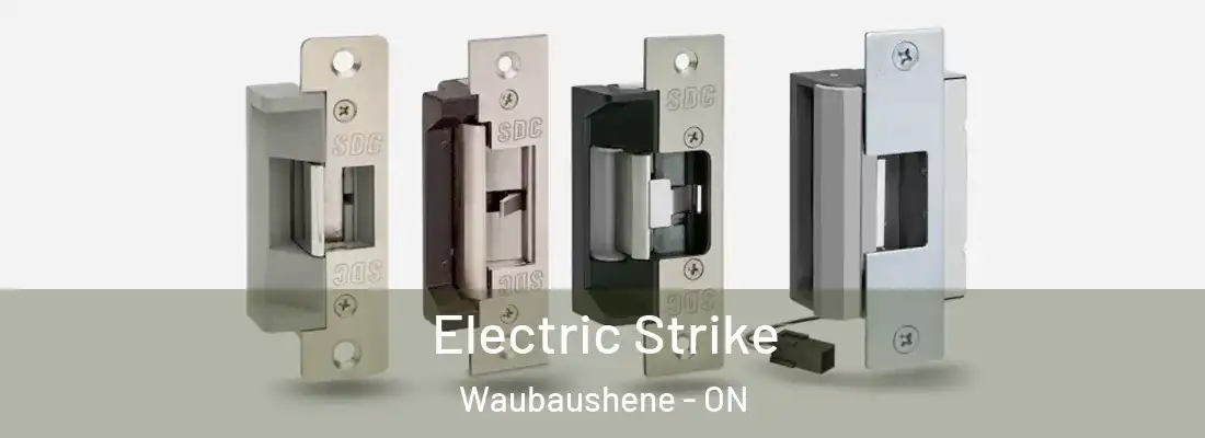  Electric Strike Waubaushene - ON
