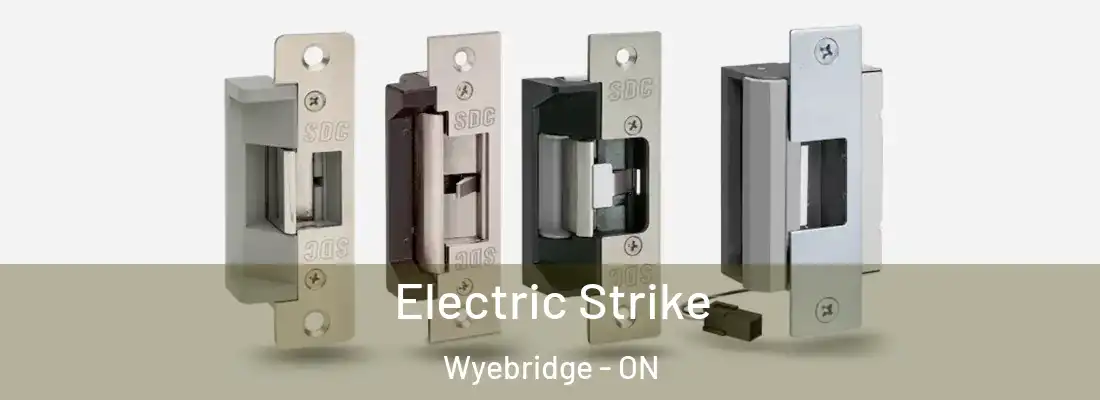  Electric Strike Wyebridge - ON