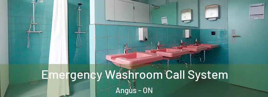  Emergency Washroom Call System Angus - ON