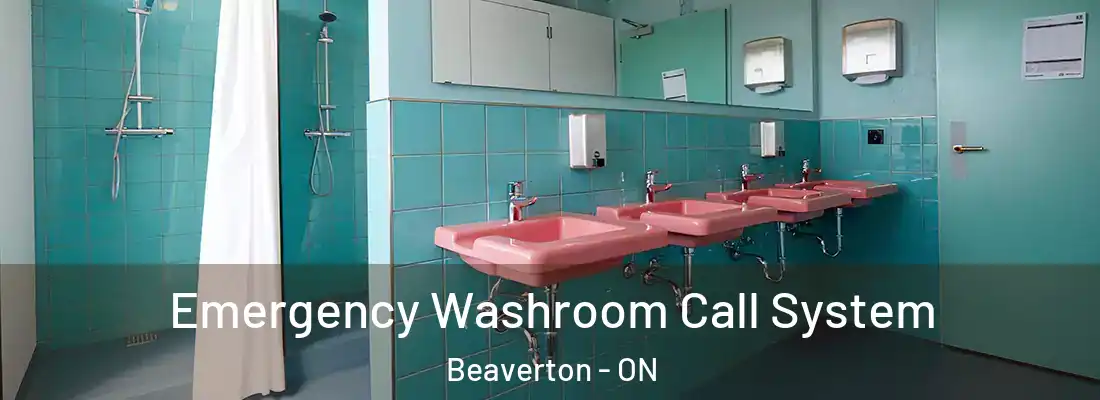  Emergency Washroom Call System Beaverton - ON