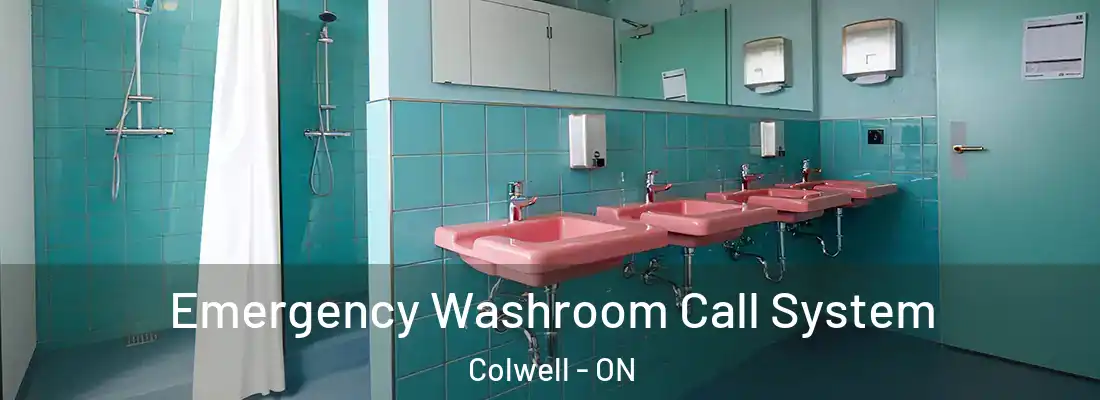  Emergency Washroom Call System Colwell - ON