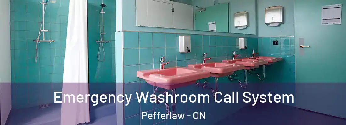  Emergency Washroom Call System Pefferlaw - ON