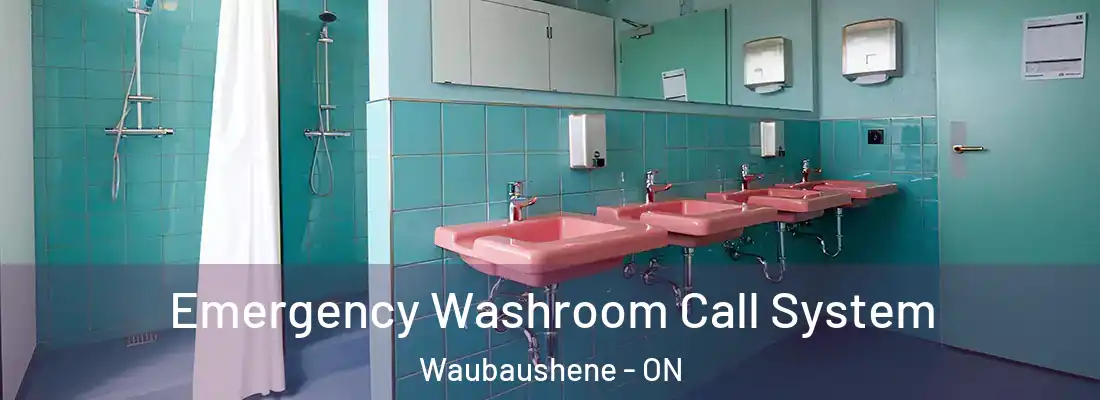  Emergency Washroom Call System Waubaushene - ON