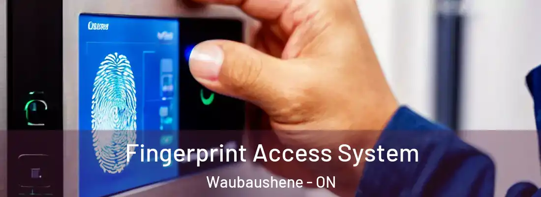  Fingerprint Access System Waubaushene - ON