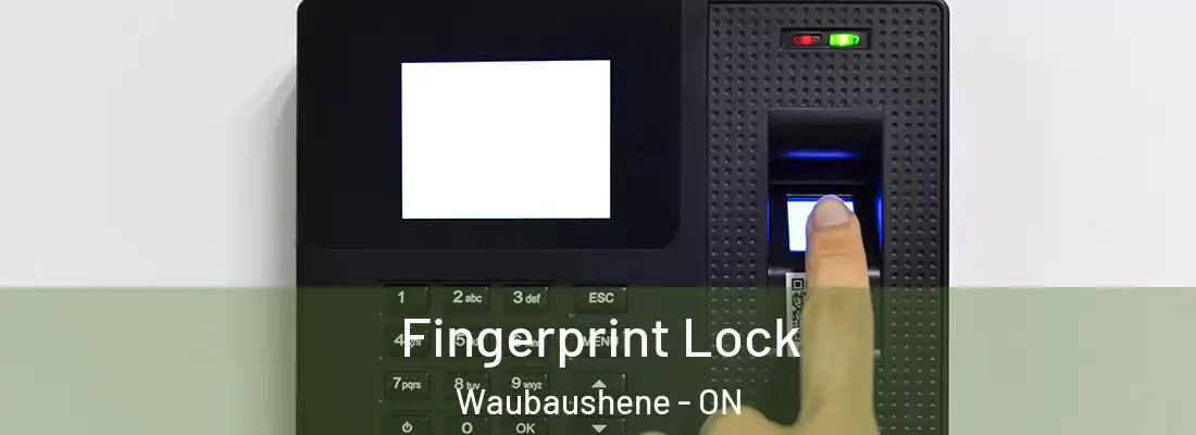  Fingerprint Lock Waubaushene - ON