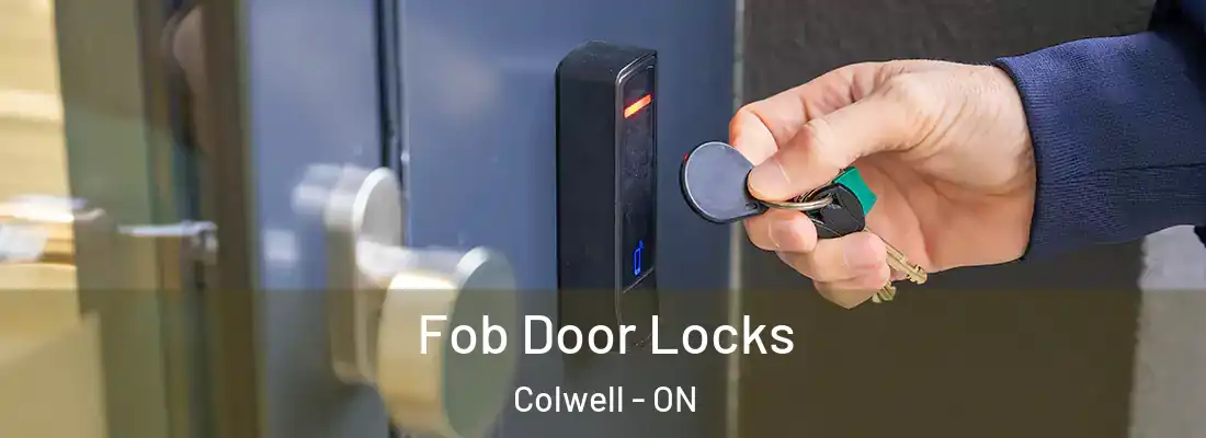  Fob Door Locks Colwell - ON