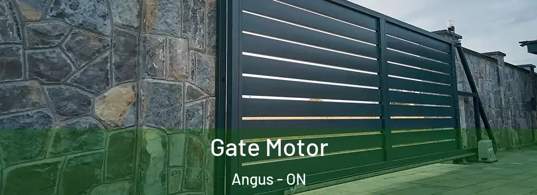  Gate Motor Angus - ON