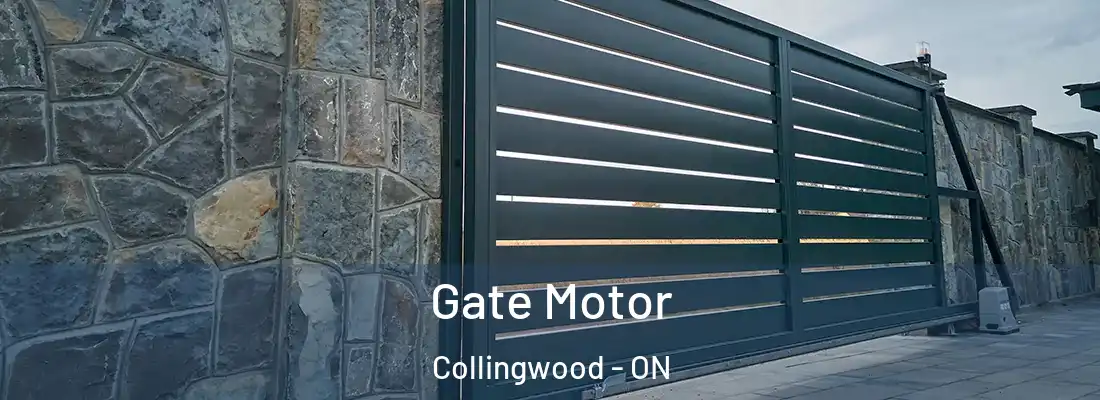  Gate Motor Collingwood - ON