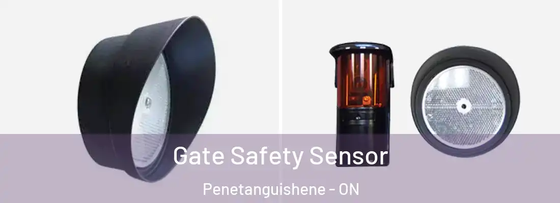  Gate Safety Sensor Penetanguishene - ON