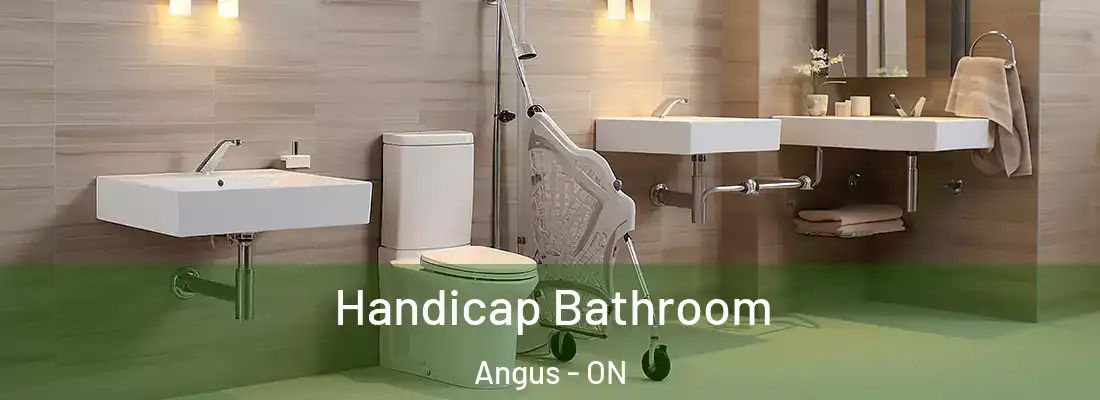 Handicap Bathroom Angus - ON