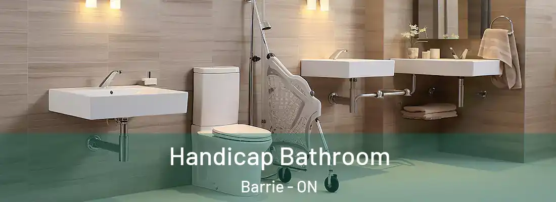  Handicap Bathroom Barrie - ON