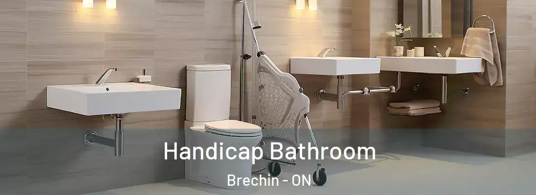  Handicap Bathroom Brechin - ON