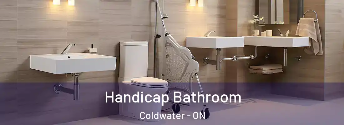  Handicap Bathroom Coldwater - ON