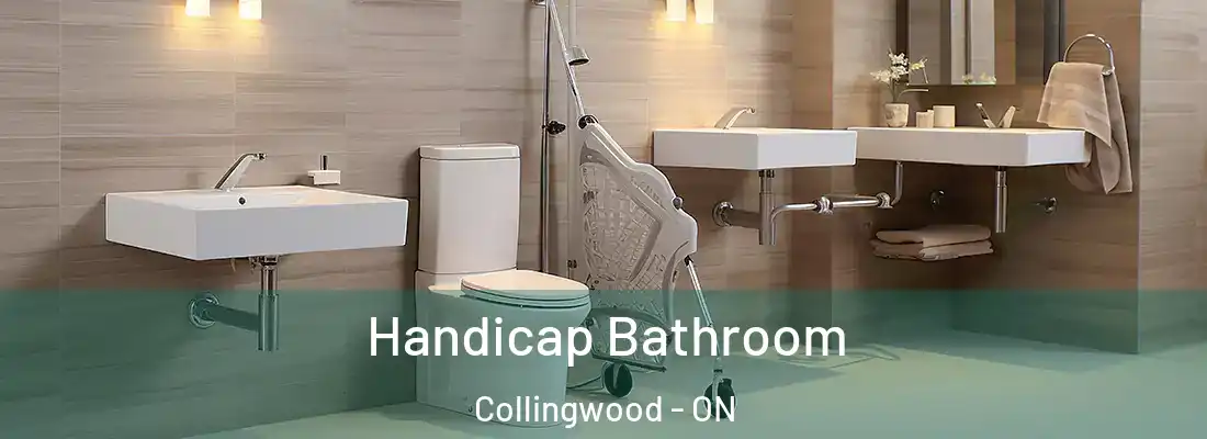  Handicap Bathroom Collingwood - ON