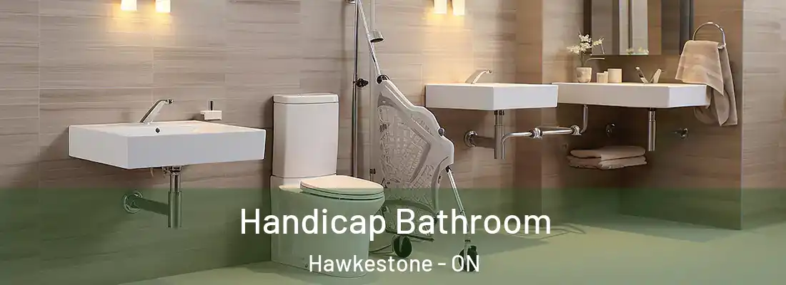  Handicap Bathroom Hawkestone - ON