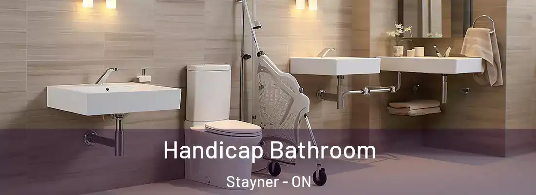  Handicap Bathroom Stayner - ON