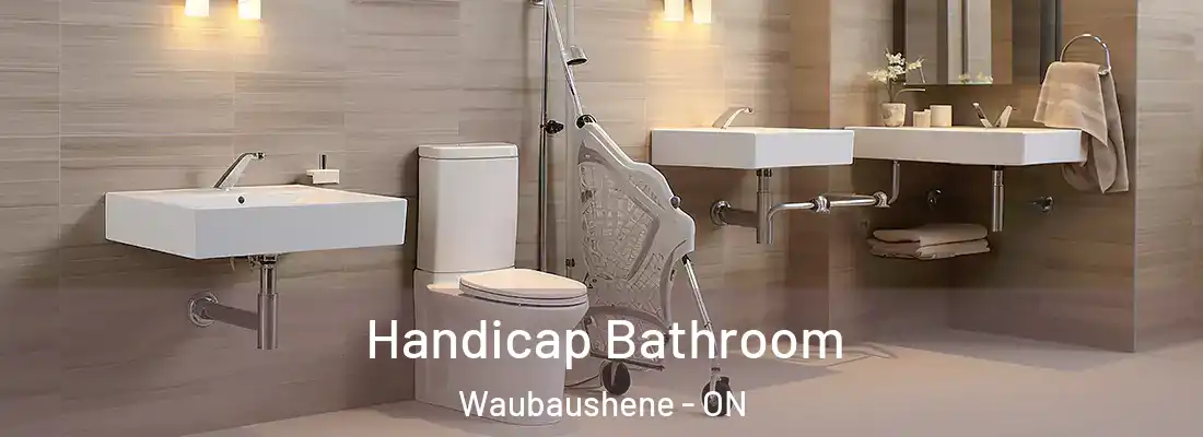  Handicap Bathroom Waubaushene - ON