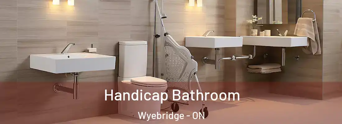  Handicap Bathroom Wyebridge - ON