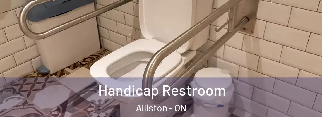  Handicap Restroom Alliston - ON