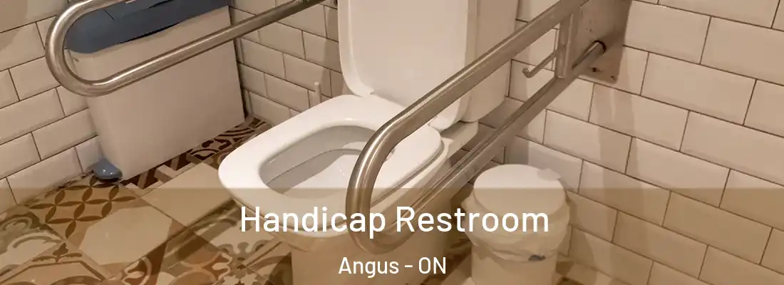  Handicap Restroom Angus - ON
