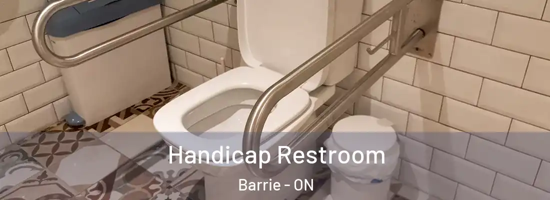  Handicap Restroom Barrie - ON