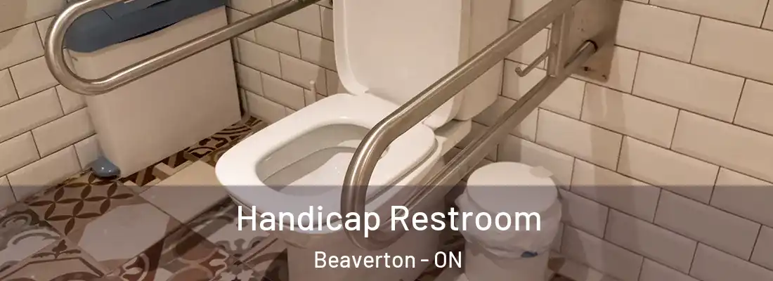  Handicap Restroom Beaverton - ON