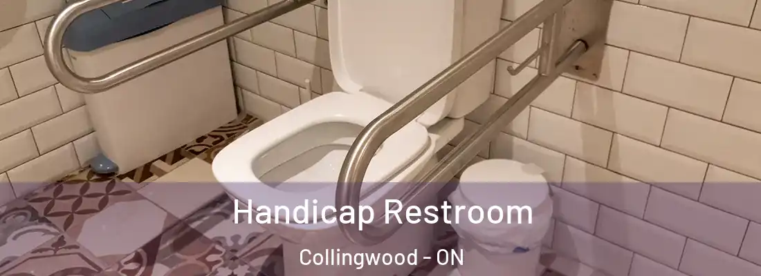  Handicap Restroom Collingwood - ON