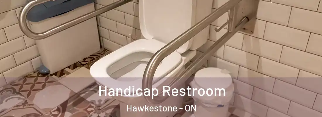  Handicap Restroom Hawkestone - ON
