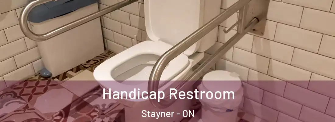  Handicap Restroom Stayner - ON