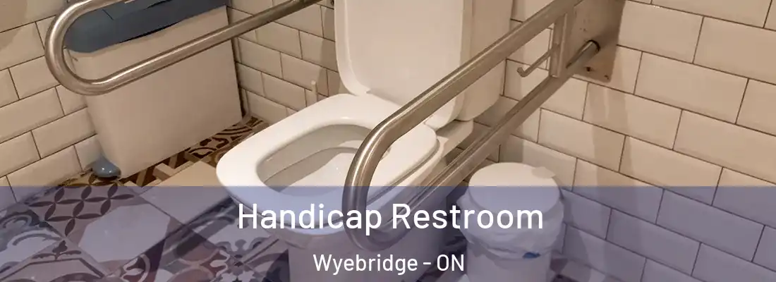  Handicap Restroom Wyebridge - ON