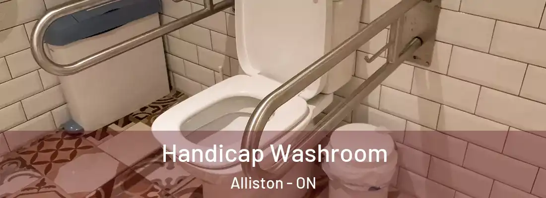  Handicap Washroom Alliston - ON