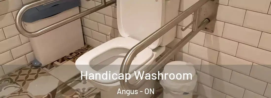  Handicap Washroom Angus - ON