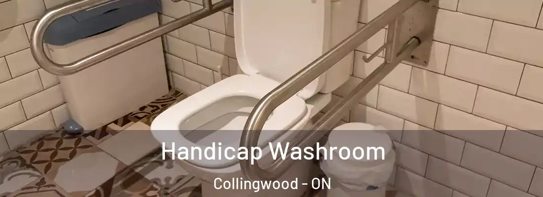  Handicap Washroom Collingwood - ON