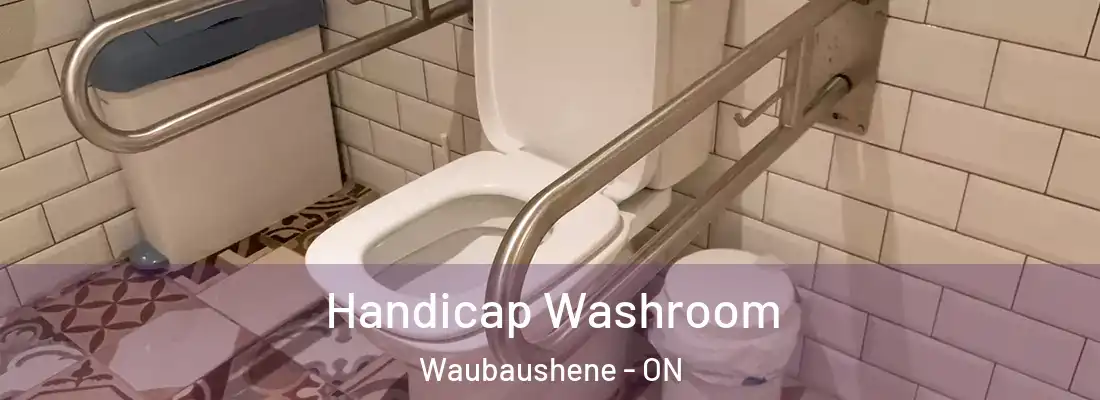  Handicap Washroom Waubaushene - ON
