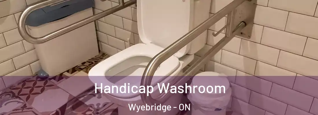  Handicap Washroom Wyebridge - ON