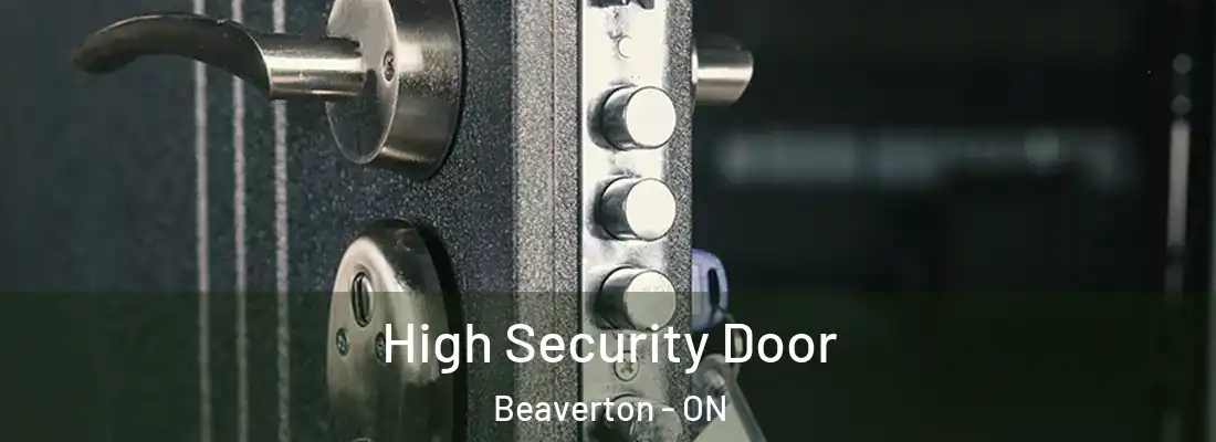 High Security Door Beaverton - ON