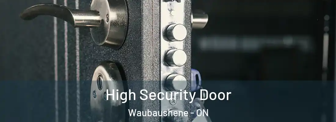  High Security Door Waubaushene - ON