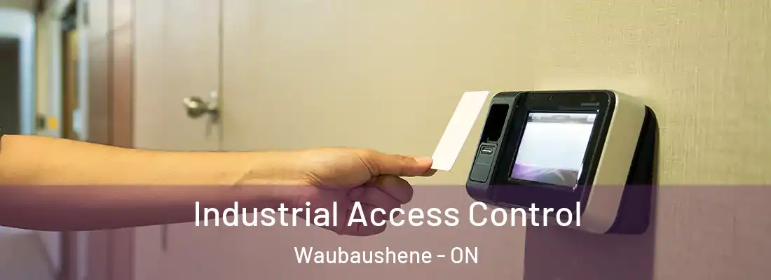  Industrial Access Control Waubaushene - ON