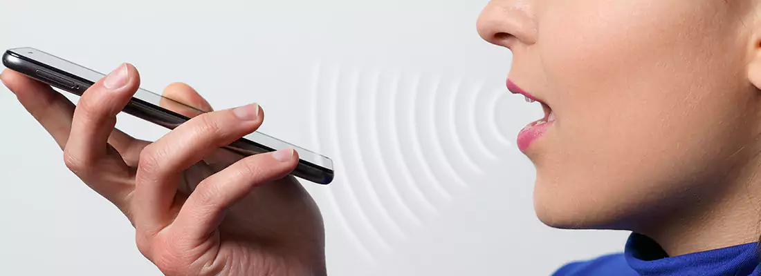 Residential and Commercial Voice Recognition Access Solutions in Orillia, ON