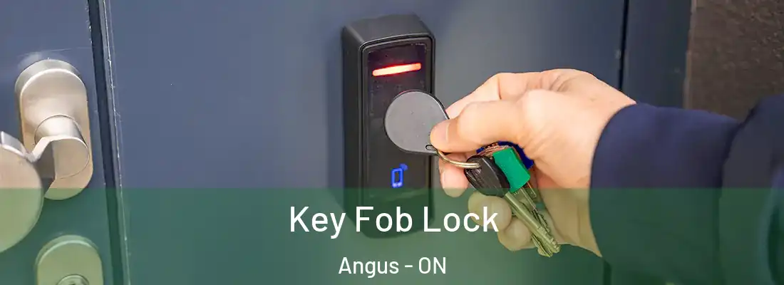  Key Fob Lock Angus - ON