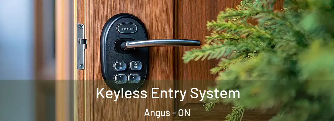  Keyless Entry System Angus - ON