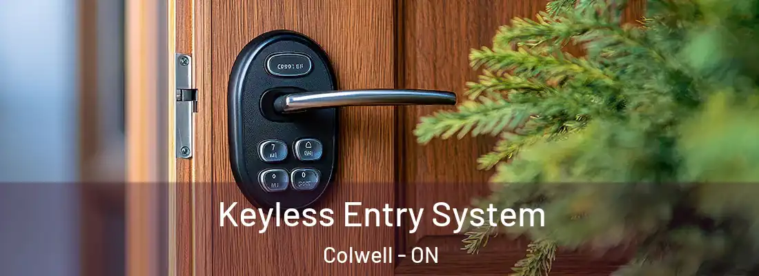  Keyless Entry System Colwell - ON