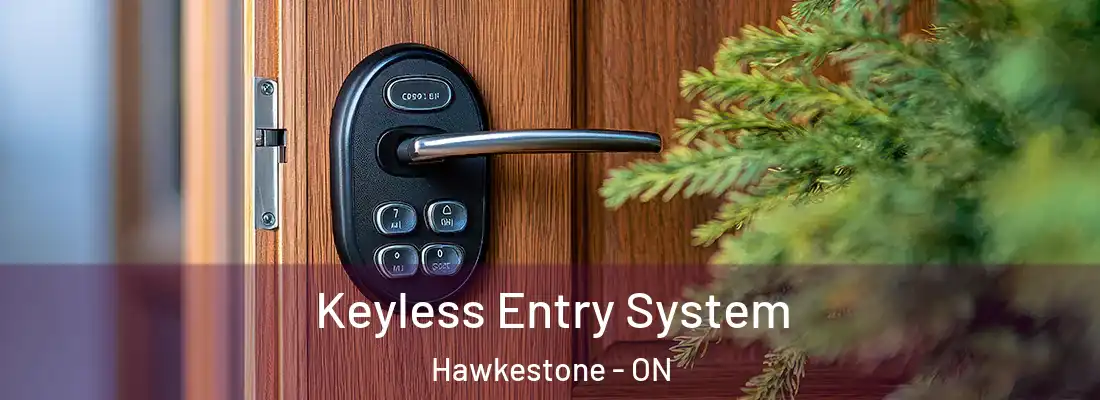  Keyless Entry System Hawkestone - ON