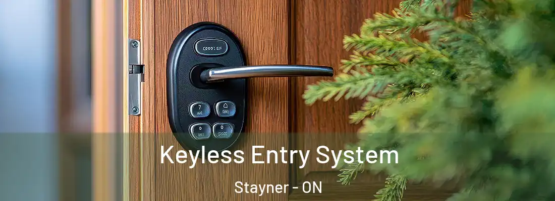  Keyless Entry System Stayner - ON