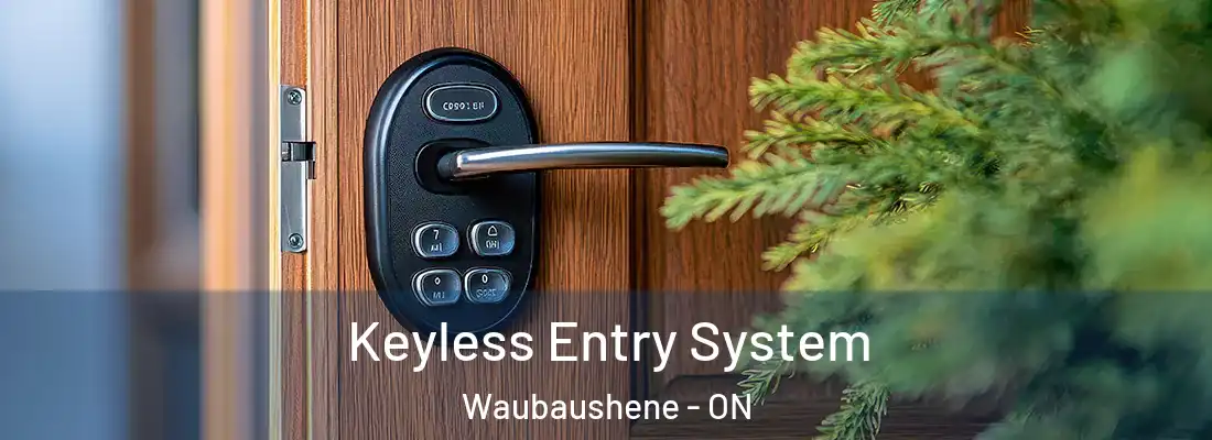  Keyless Entry System Waubaushene - ON