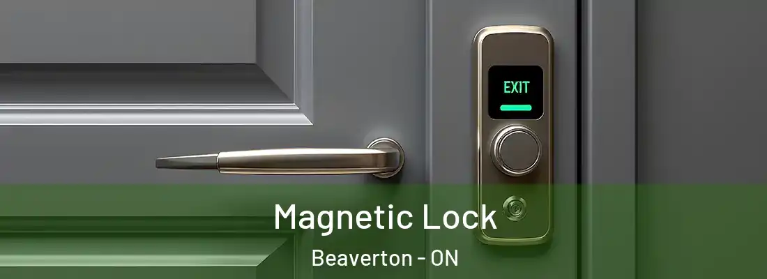  Magnetic Lock Beaverton - ON