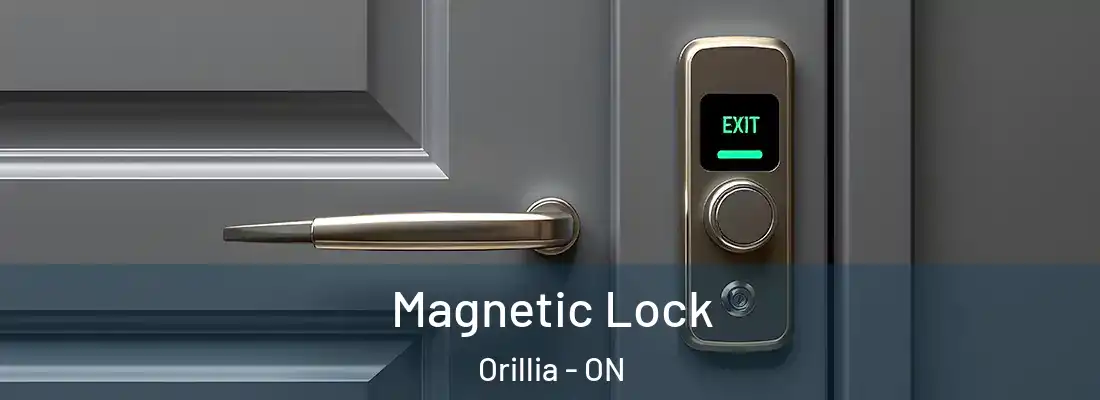 Magnetic Lock Orillia - ON