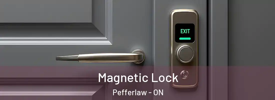  Magnetic Lock Pefferlaw - ON