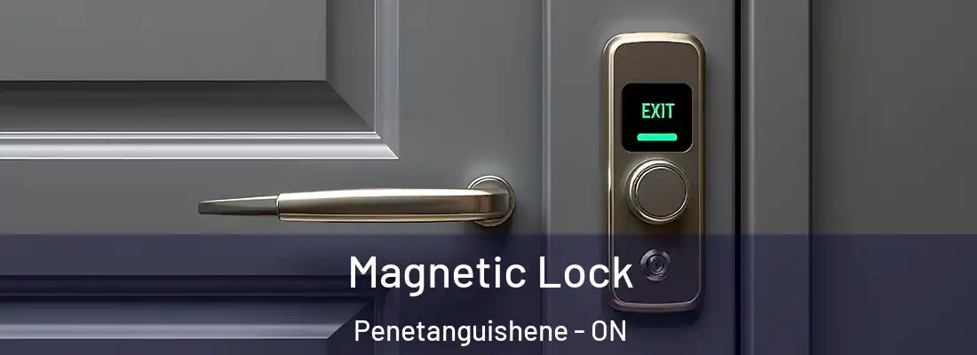  Magnetic Lock Penetanguishene - ON