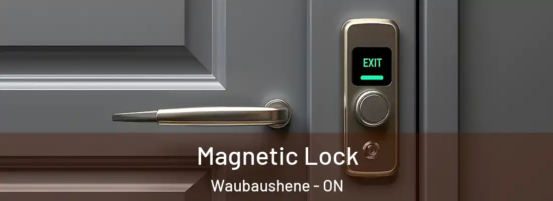  Magnetic Lock Waubaushene - ON